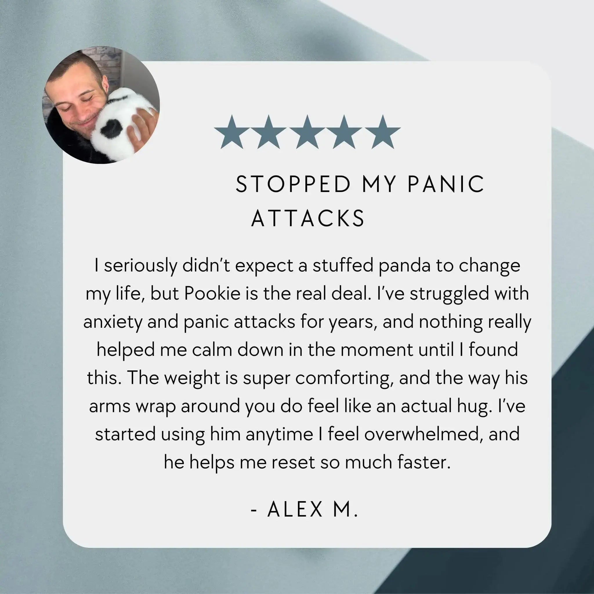 Pookie Panda Weighted Animal