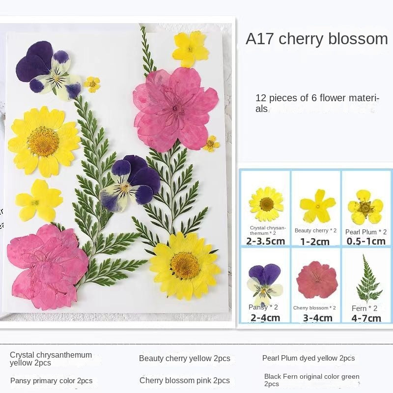 Woyuosn Transparent Dried Flower Bookmarks