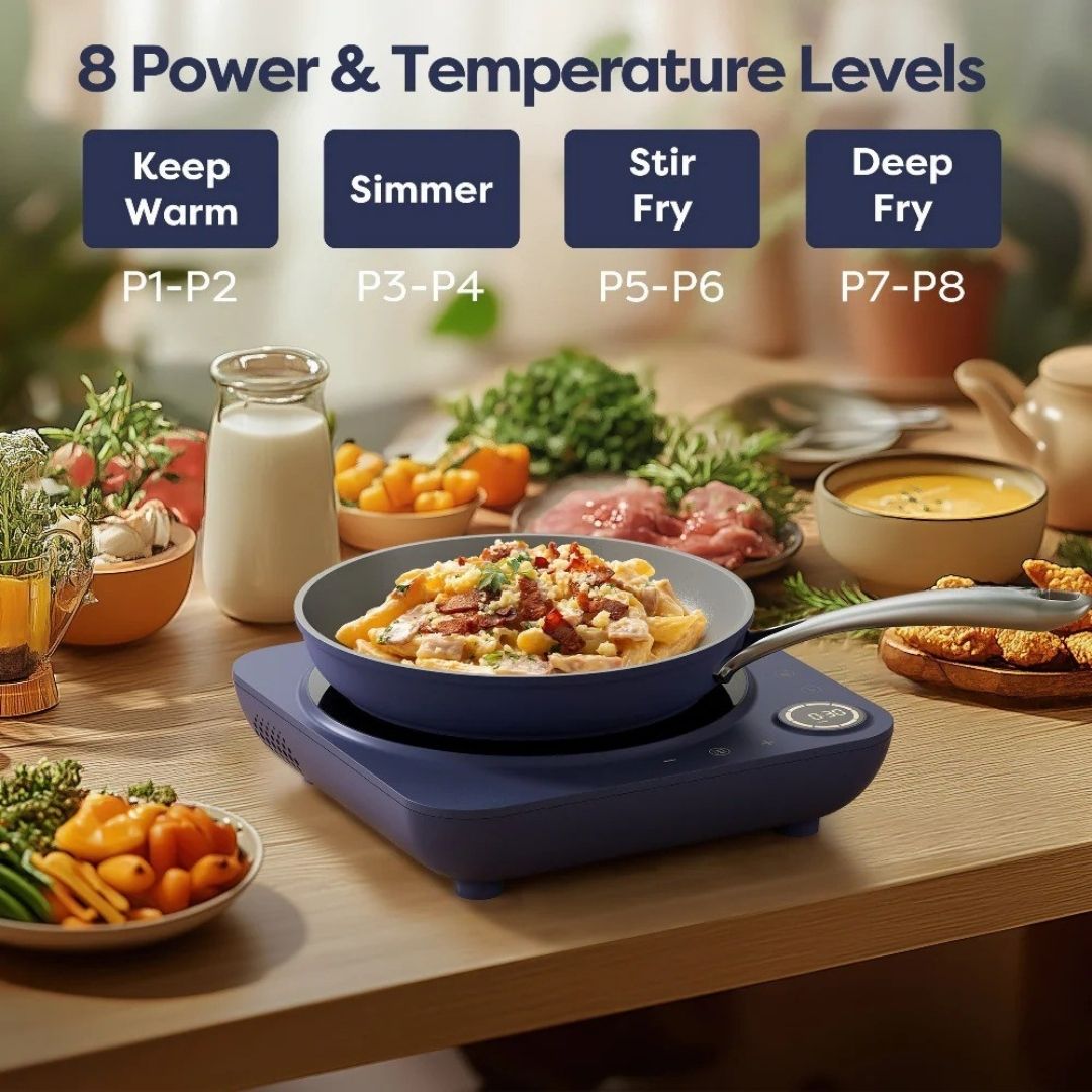 Portable Electric Induction Burner