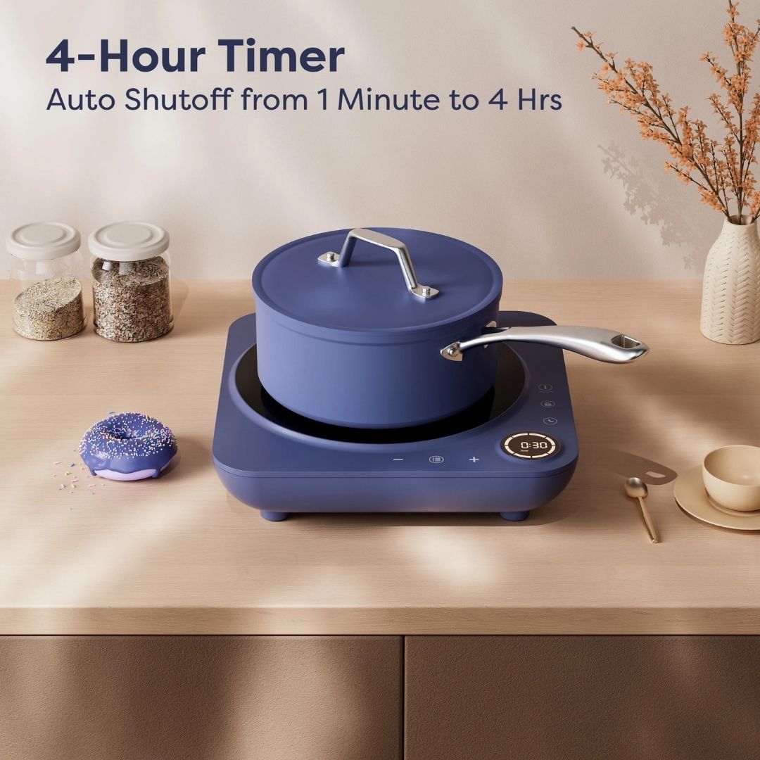 Portable Electric Induction Burner