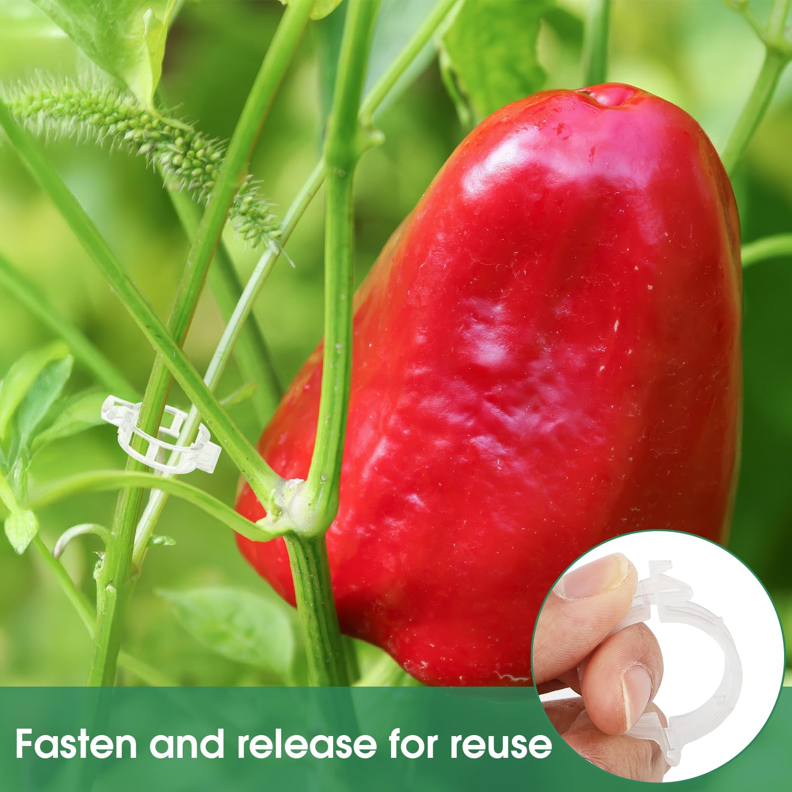 Tomato Clips, Plastic Trellis Clips
