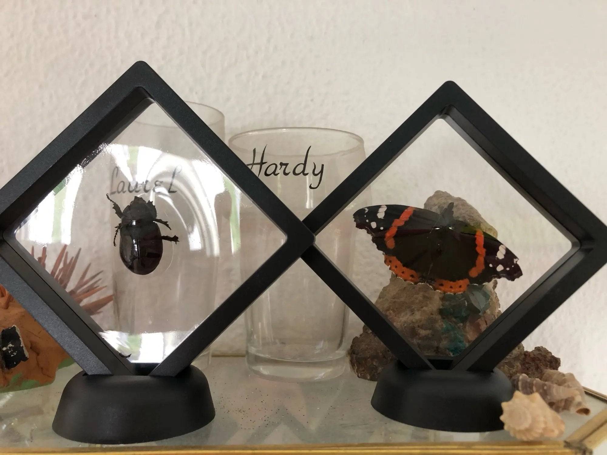 FLEXIDISPLAY- BOX OF 10