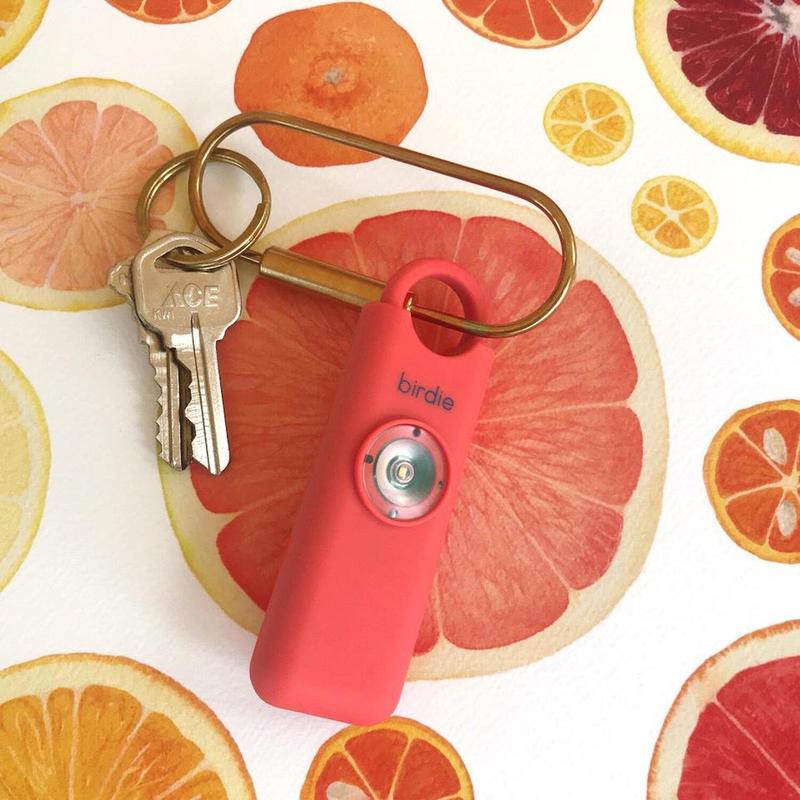 Personal safety alarm keychain.