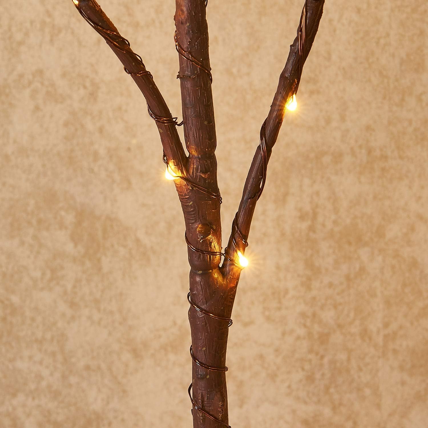 Lighted Brown Branches