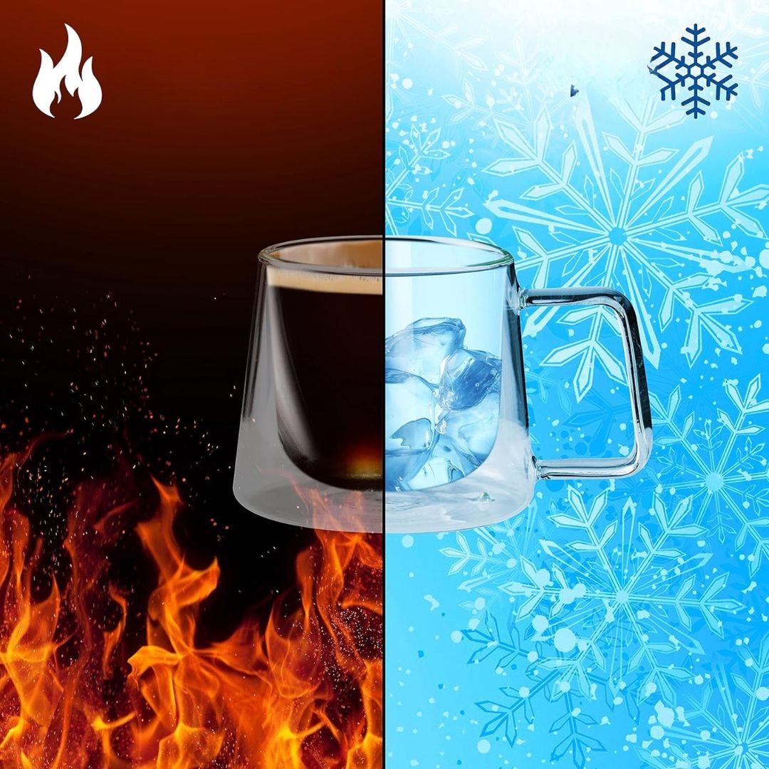 Double Walled Glass Coffee Drink Mug with Handle