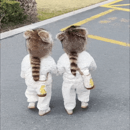 🔥 - Handmade Imitation Raccoon Fur Hat