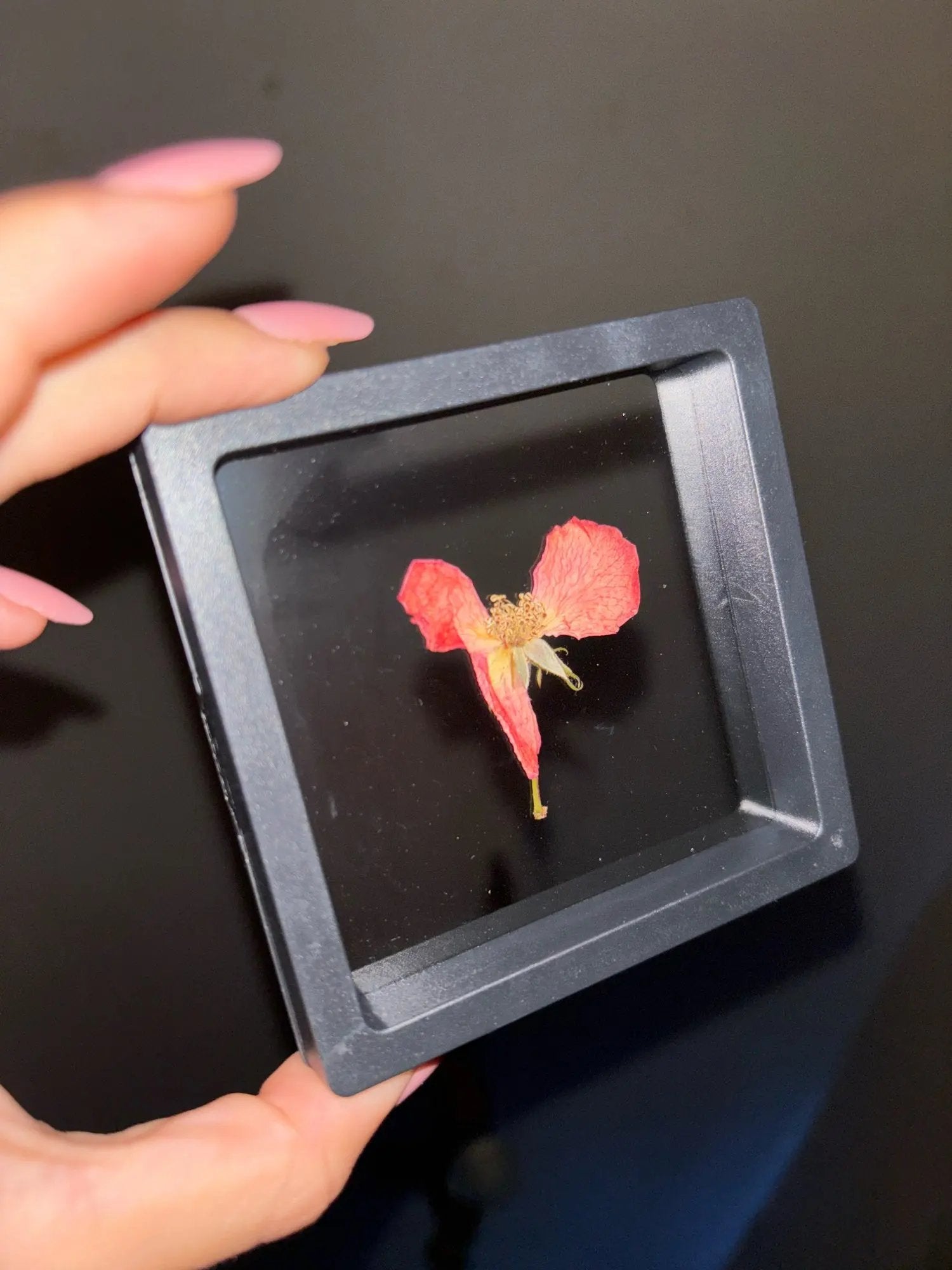 FLEXIDISPLAY- BOX OF 10