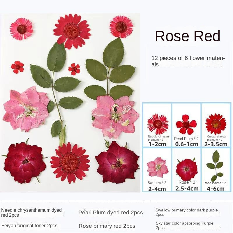 Woyuosn Transparent Dried Flower Bookmarks