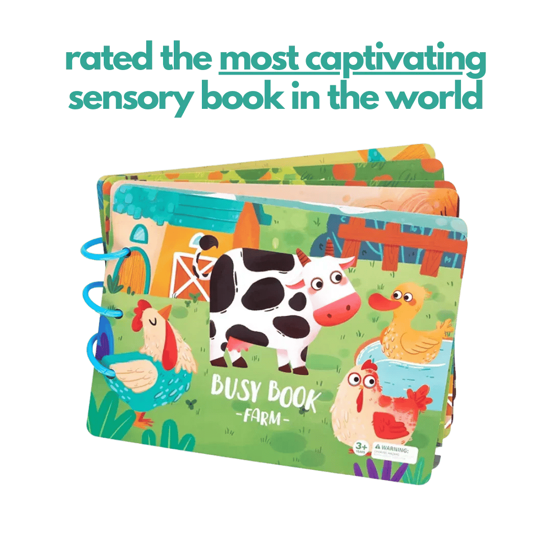 Sensory Book for Kids