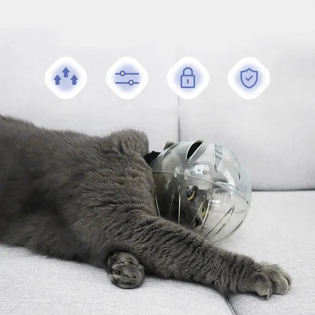 Cat Muzzle Boots Set