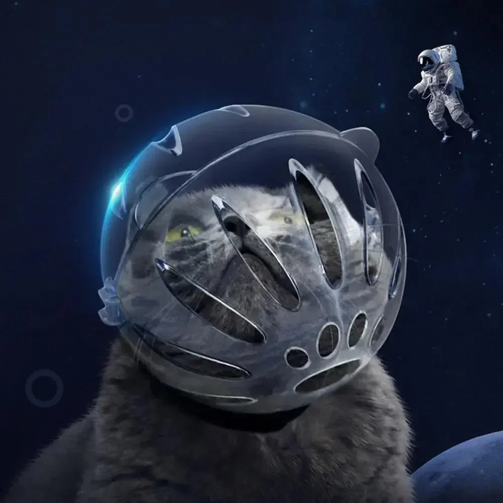 Cat Muzzle Boots Set