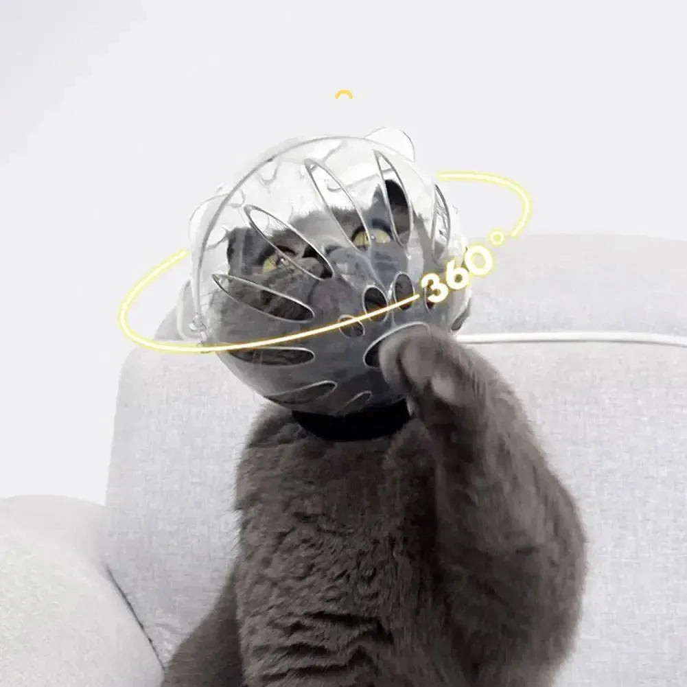 Cat Muzzle Boots Set