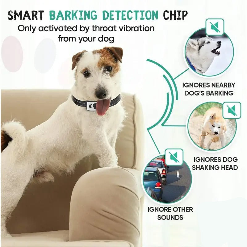 Anti Bark Collar for Dogs