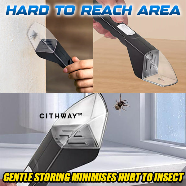 Humane Insect Catcher