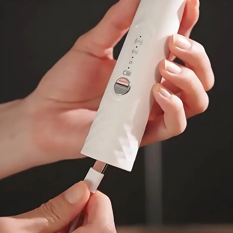 Handheld Milk Frother